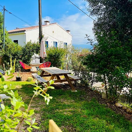 La Cave Marine Du Trottel Apartment Ajaccio  Bagian luar foto